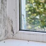 Viden om Fugt – Sådan Beskytter du Dit Hjem og Sundhed