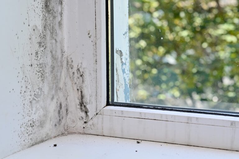 Viden om Fugt – Sådan Beskytter du Dit Hjem og Sundhed
